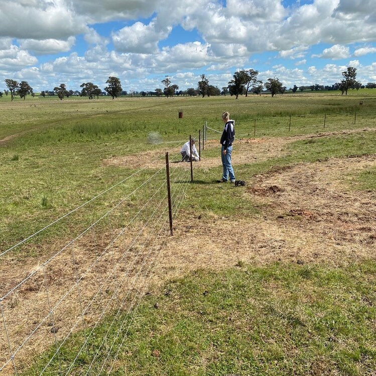 Rowdy Crowd Regeneration Project - Fencing Project