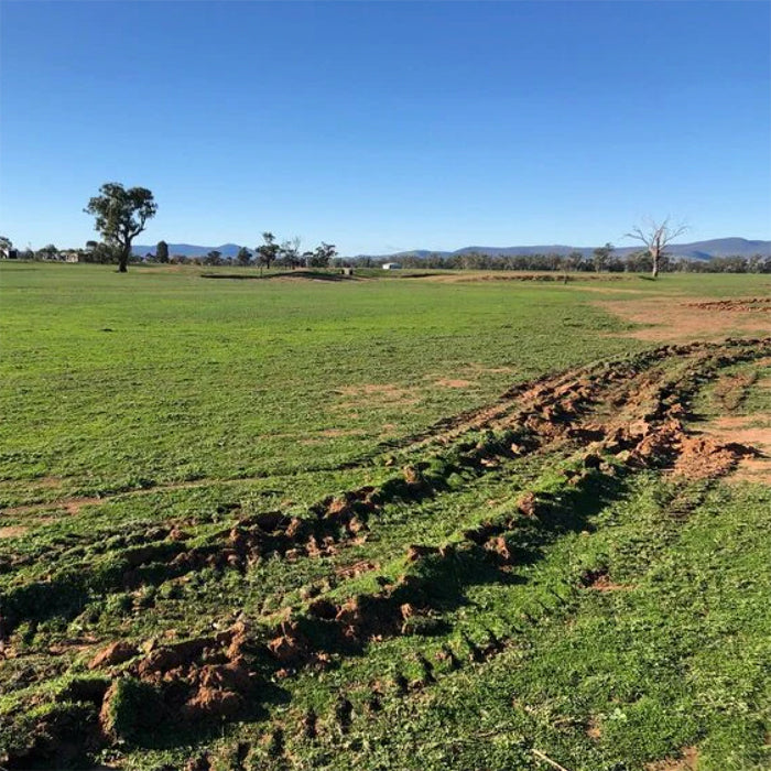 Rowdy Crowd Regeneration Project - Water Rip Lines