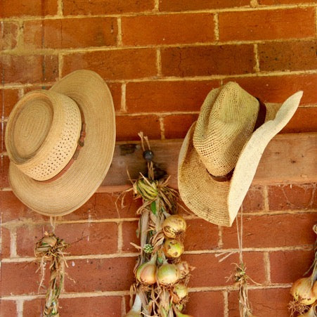 Country Life