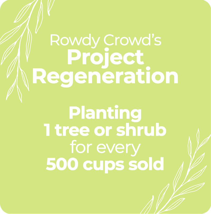 Rowdy Crowd's Project Regeneration - Planting 1 tree or shrub for every 500 cups sold