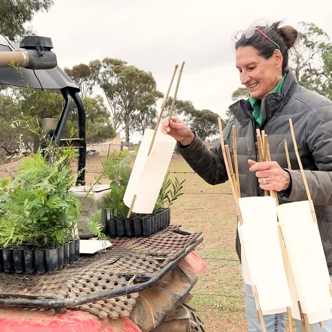 Rowdy Crowd Regeneration Project - Fiona Planting Seedlings