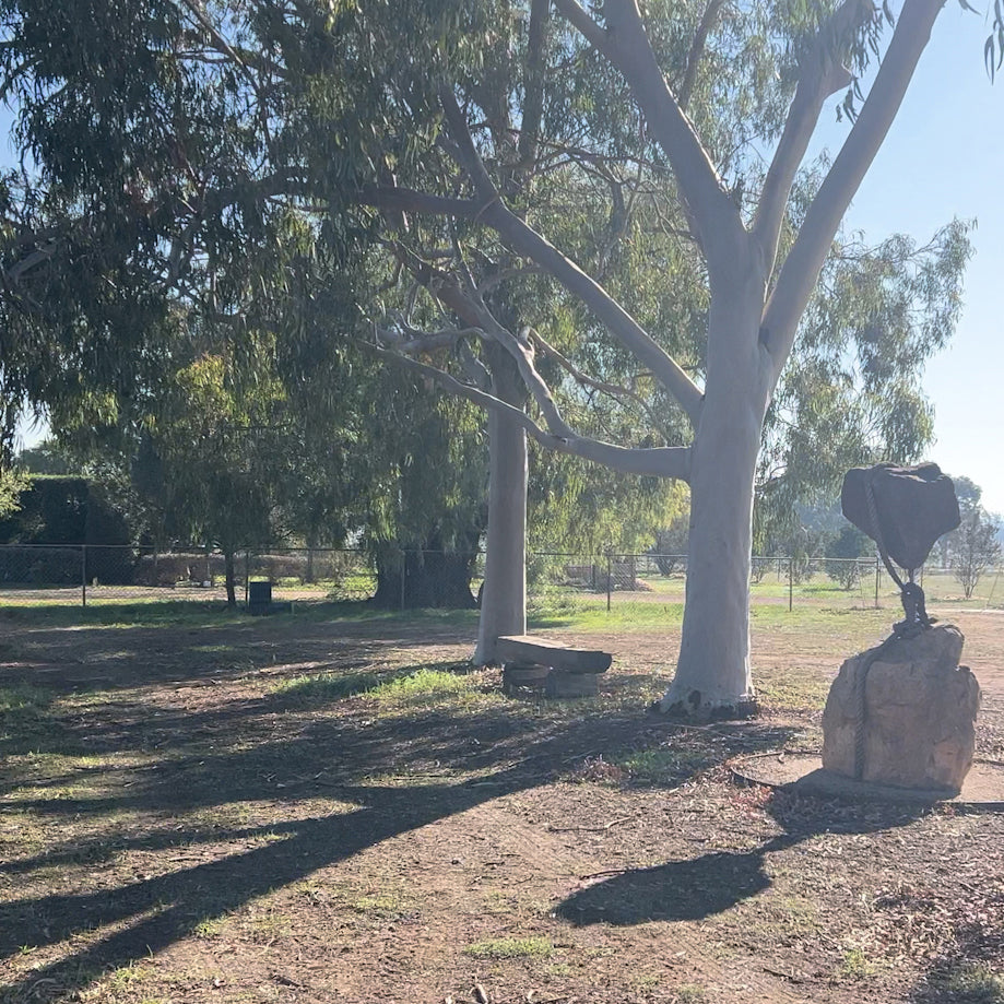 Rowdy Crowd Regeneration Lemon Gums