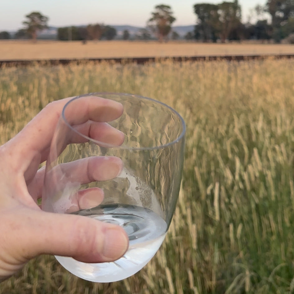 Rowdy Crowd Crystal Clear Wine Tumbler